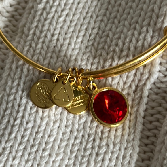 ALEX AND ANI Gold July Birthstone Charm Bangle - Ruby Colour Bracelet - Picture 7 of 8